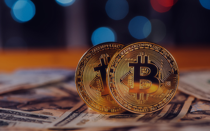 Blockchain Ecosystem